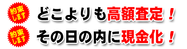 車金融車買取.netで売却